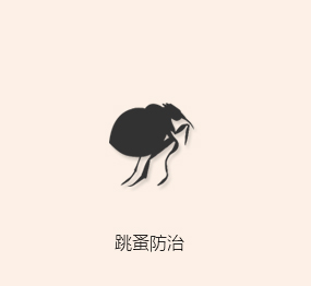 跳蚤防治